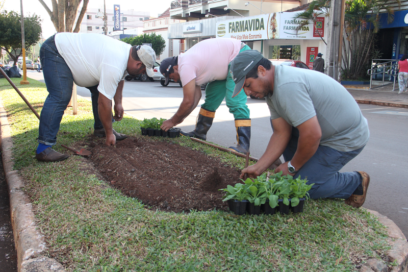 Prefeitura inicia plantio de flores em canteiros centrais da cidade